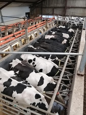 Afbeelding van WhatsApp op 2025-10-21 om 14.49.22_34fe17fb.jpg